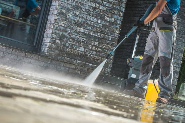 Animal Enclosure Cleaning in Venersborg, WA